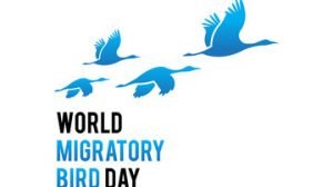 World Migratory Bird Day 2022: Theme, Importance & Issues