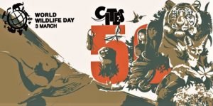 Celebrating 50 years of CITES conserving the world's wild animals and  plants on World Wildlife Day 2023